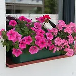 Apartman Heissl *